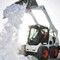 BobCat 175