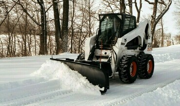 Bobcat