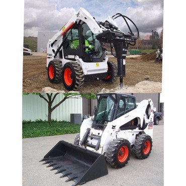 Bobcat