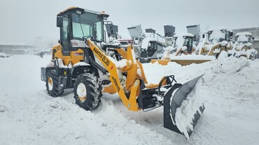 RANTEX ZL20