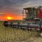 Запчасти для КАМАЗ, JCB, Ивановец и других