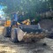 LiuGong ZL50CN