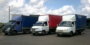 Газель