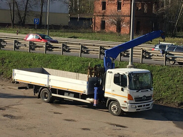 Hino 500