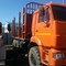 КАМАЗ 43118