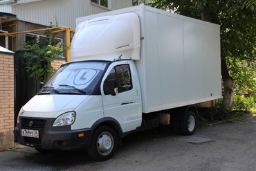 Газель