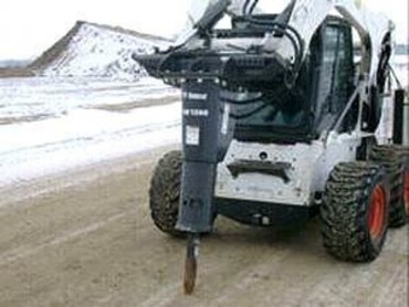 Bobcat