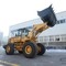 Foton Lovol  FL956F-II