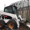 BOBCAT