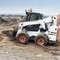BOBCAT