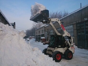 Bobcat S300