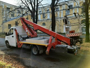 Газель Next