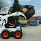 Bobcat 175s