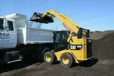 Cat 262 D