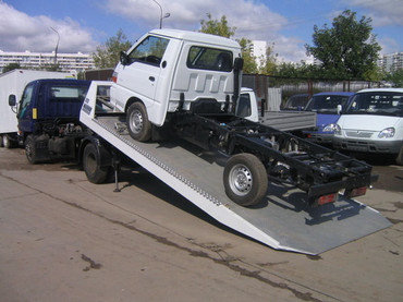 Газель