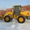 XCMG LV-300