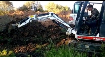 Bobcat  322