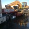 MAN, IVECO