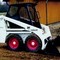 Bobcat