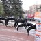 TG, Грейфер для погрузчиков грейферных