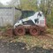 Bobcat 300
