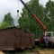 Газон