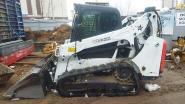 Bobcat