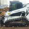 Bobcat