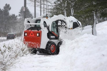 Bobcat S175