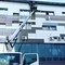 Nissan Cabstar, Isuzu, Hyundai