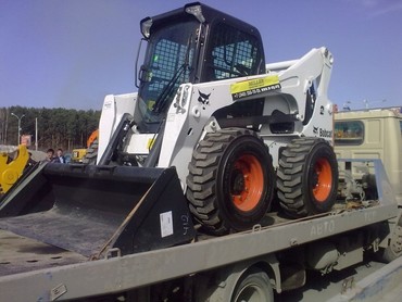BOBCAT