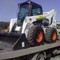 BOBCAT