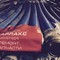 Запчасти для бетононасосов Doosan, Zoomlion, Mitsubishi и других
