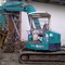 Bobcat