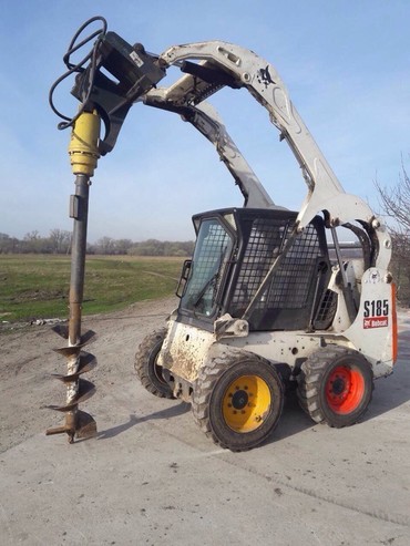 Bobcat