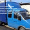 Газель