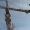 Liebherr 280 EC-H12
