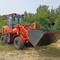 GRIZZLY 200