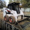 Bobcat