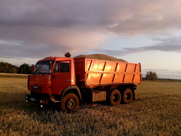 55102