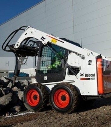 Bobcat