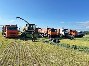 Камаз 45143