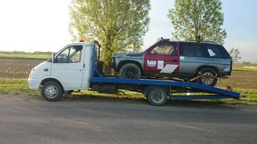 Газель