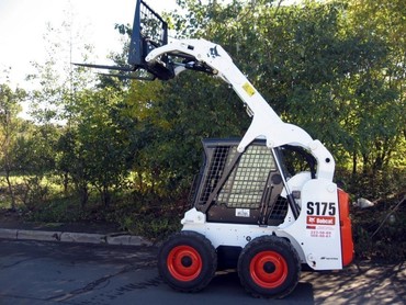 Bobcat