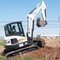 Bobcat