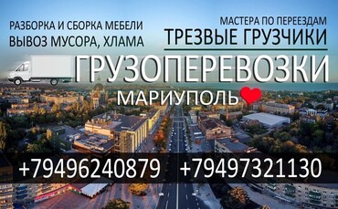 Газель