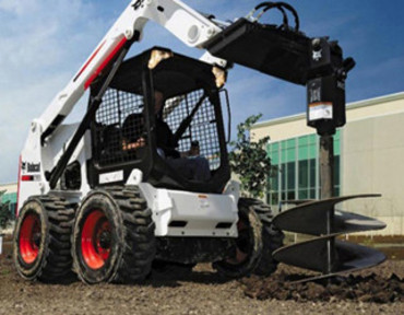 Bobcat