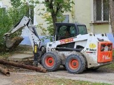 Боб кэт