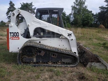 Bobcat