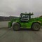 Merlo